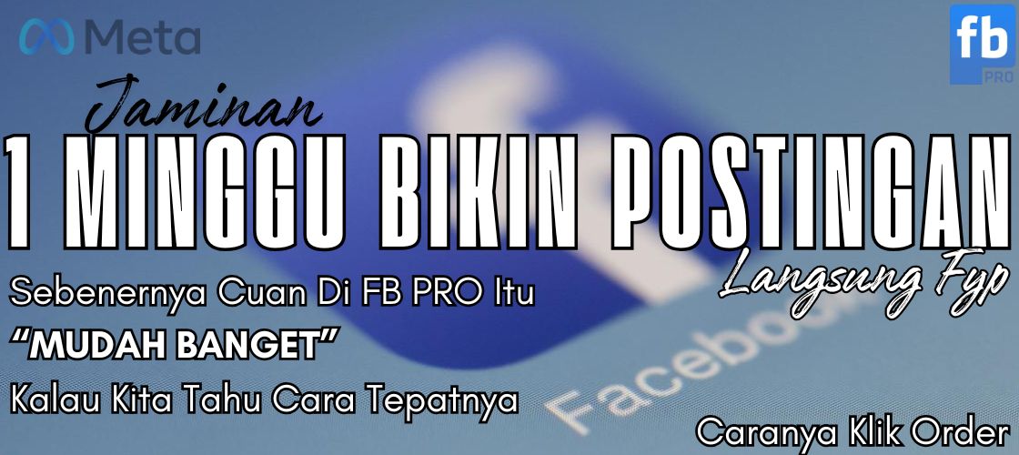 FB PRO